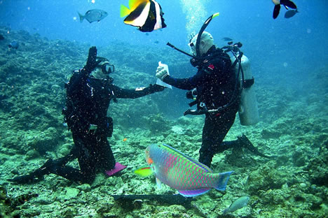 Hochzeitsideen ~ Trauung unter Wasser ~ Tauchen als aussergewöhnlicher Tipps und Idee für Ihre Hochzeit